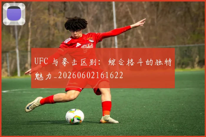 UFC 与拳击区别:综合格斗的独特魅力_20260602161622